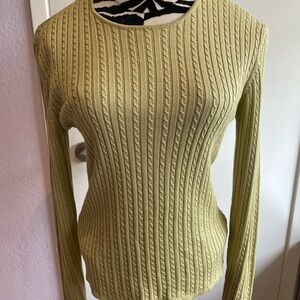 Rare Ann Taylor 100% Silk Cable Knit Sweater in Light Green